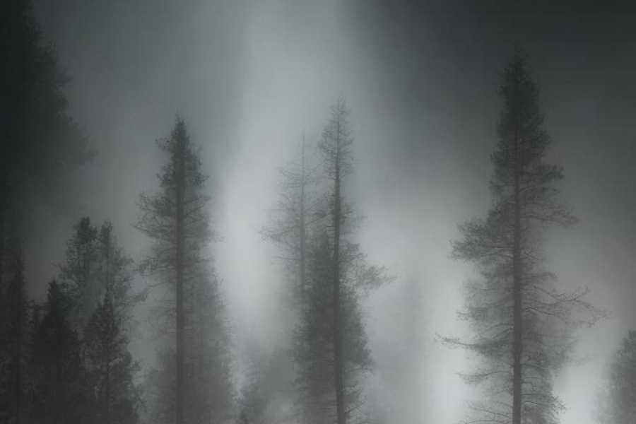 Квест в реальности Склеп от компании Аффект выхода  Квест в реальности Склеп от компании Аффект выхода